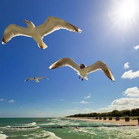 Apartman Lavendelblume - 4 Sterne - Inklusive Eigener Bikebox Mit Strom, Waeschepaket, Power Wlan, Parkplatz, Early Checkin # Bestpreisgarantie # *