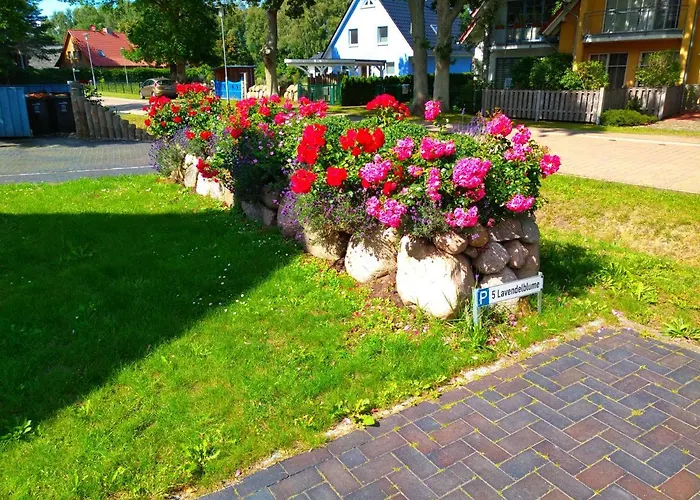 Lavendelblume - 4 Sterne - Inklusive Eigener Bikebox Mit Strom, Waeschepaket, Power Wlan, Parkplatz, Early Checkin # Bestpreisgarantie # *