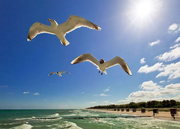 شقة Lavendelblume - 4 Sterne - Inklusive Eigener Bikebox Mit Strom, Waeschepaket, Power Wlan, Parkplatz, Early Checkin # Bestpreisgarantie # *