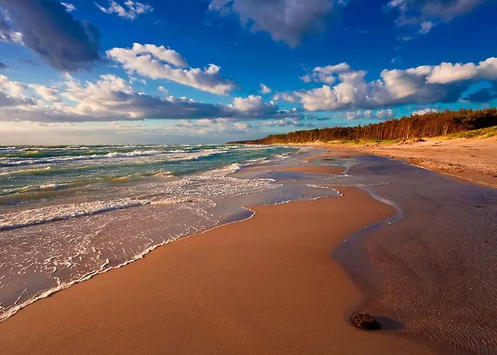 Lavendelblume - 4 Sterne - Inklusive Eigener Bikebox Mit Strom, Waeschepaket, Power Wlan, Parkplatz, Early Checkin # Bestpreisgarantie # شقة *